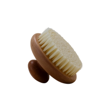 The Body Brush